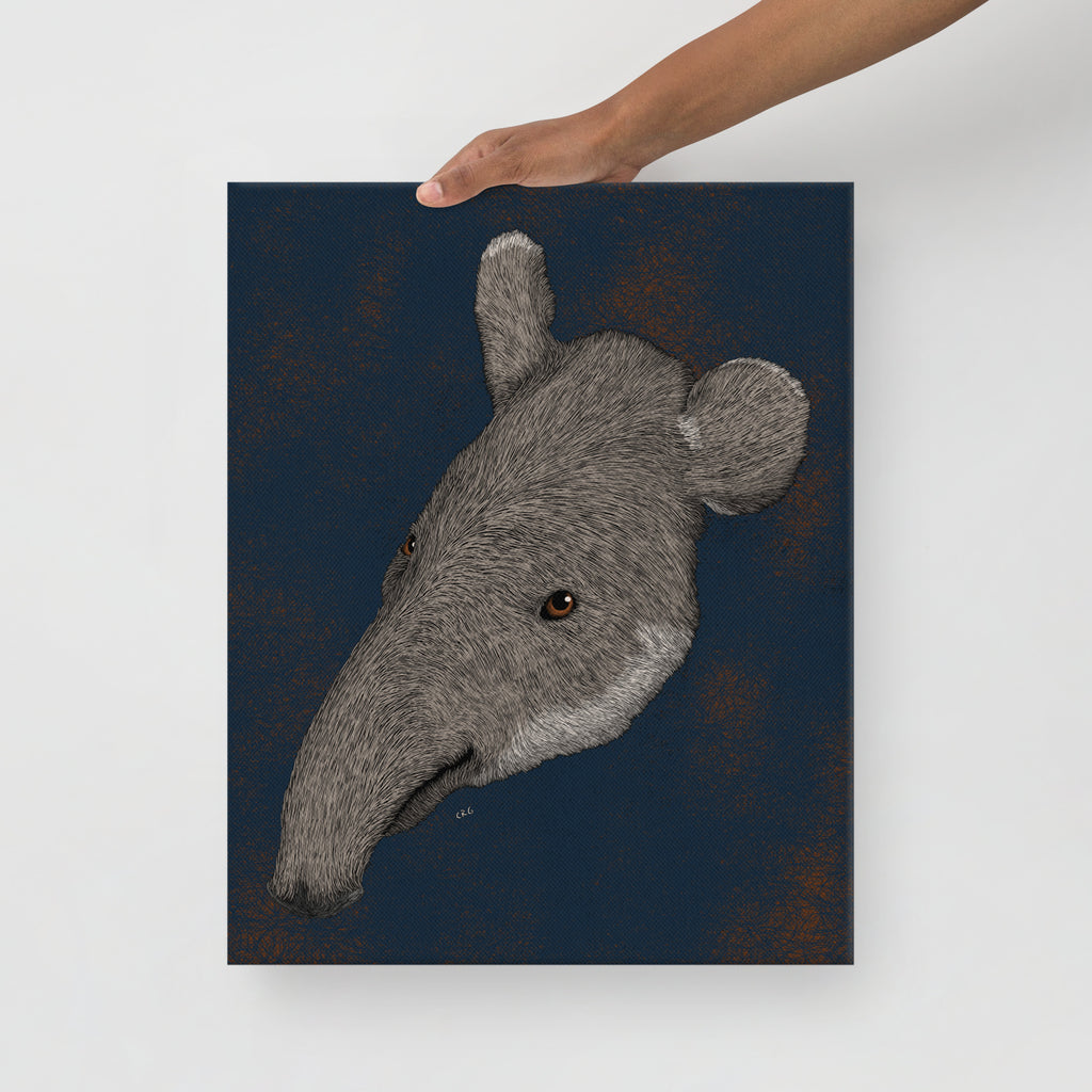 Tapir, 2019