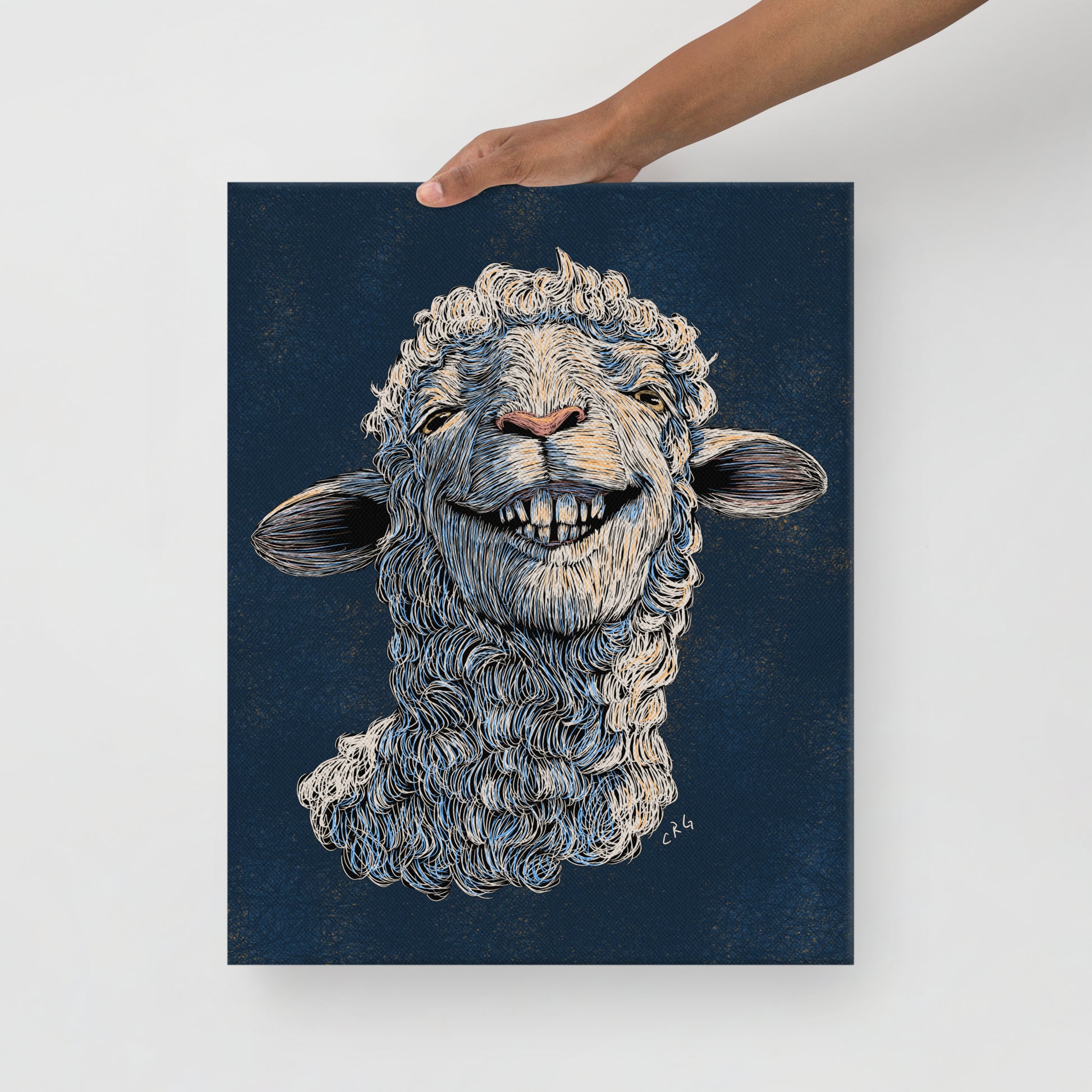 Happy Sheep, 2024
