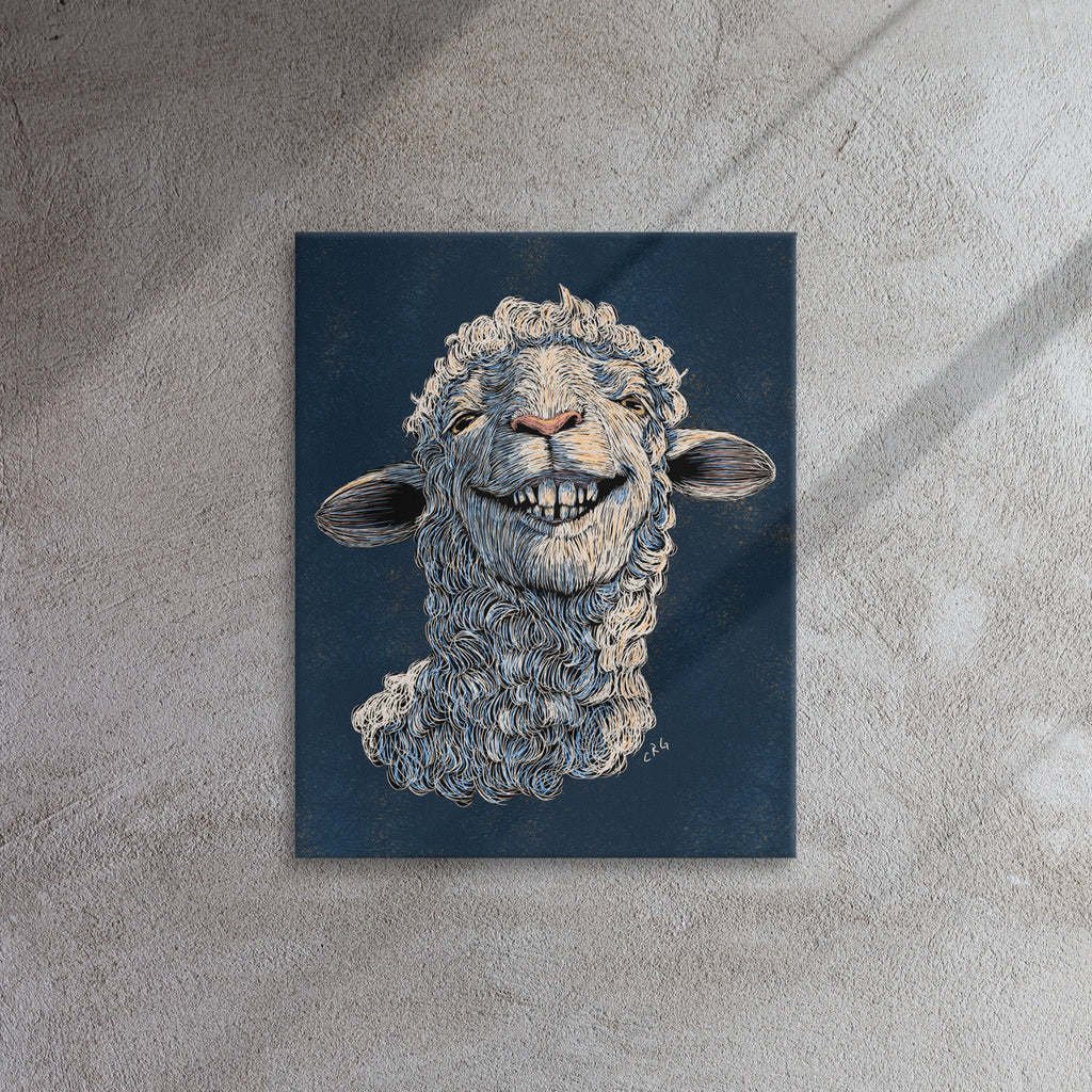 Happy Sheep, 2024